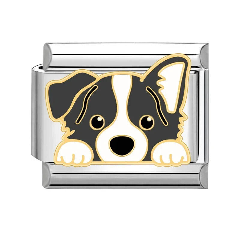 Collie Dog Italian charm
