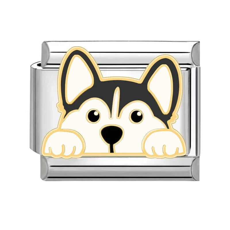 Husky Dog Italian charm