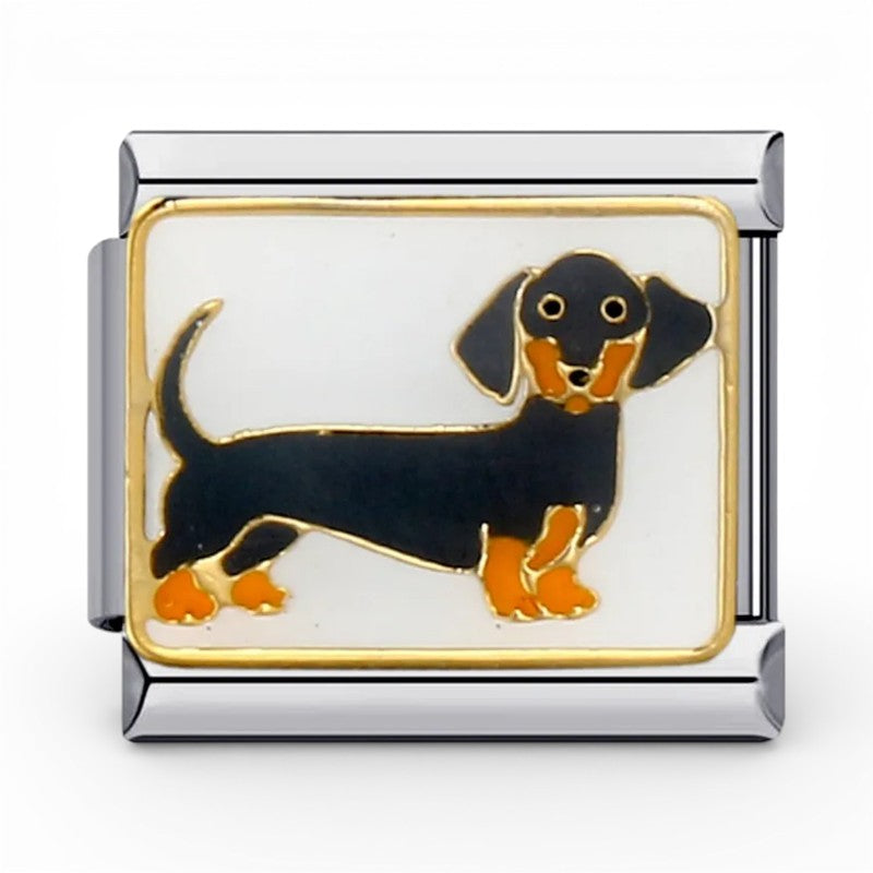 dachshund Dog Italian charm