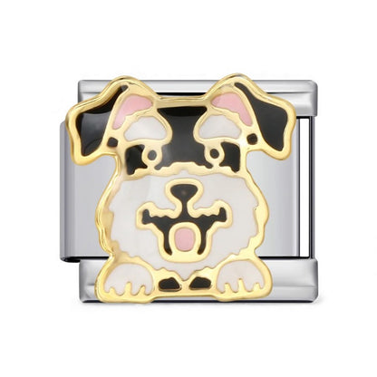 schnauzer Dog Italian charm